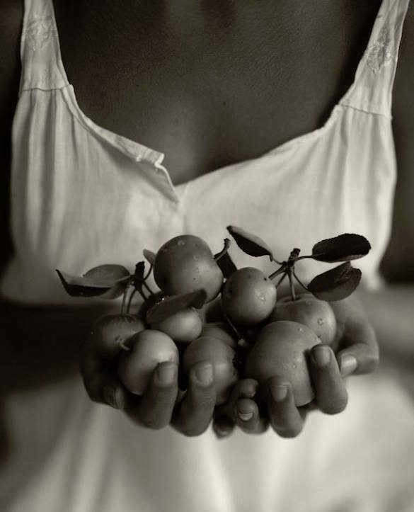 Kristoffer Albrecht - Small Apples, 1984