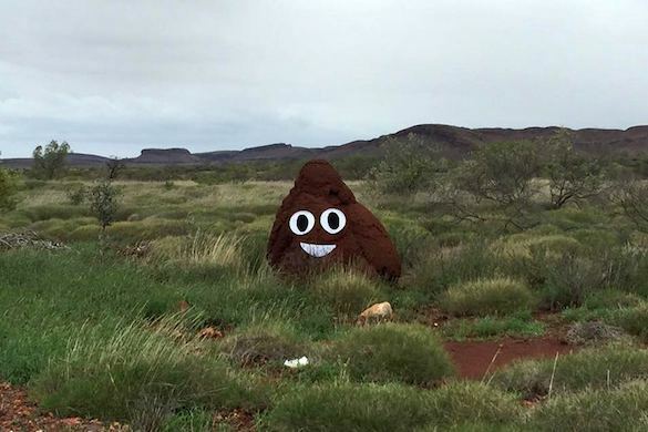 emoji poop