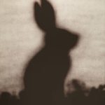 Edward Ruscha, Rabbit (detail), 1986